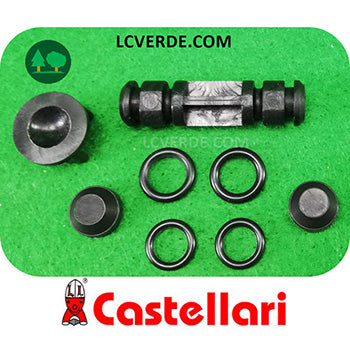 Set Scambiatore Abbacchiatore Aria Compressa Pneumatico Raccolta Olive CASTELLARI PN PNT PNS PNX PNXT Vertigo ricambi LCVERDE.com 100OP04K