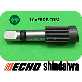 Echo, Shindaiwa Alberino Motosega ricambi  –