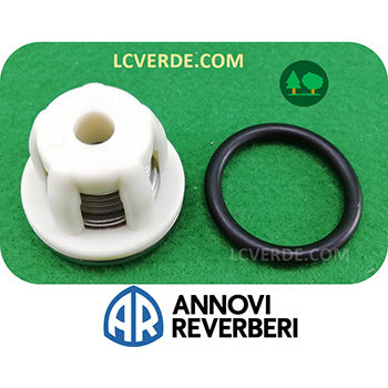 Valvola Aspirazione Mandata Pompa Irrorazione Ar Annovi Reverberi AR50 ricambi LCVERDE.com 659050