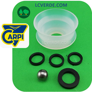 Kit Revisione Pompa Irrorazione Spalla Manuale Carpi UNYSPRAY PROFESSIONAL ricambio LCVERDE.com AC1060