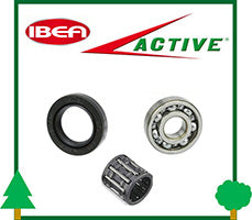 Anello Tenuta Paraolio Cuscinetto Gabbia Rulli Motosega Active Ibea Ricambi LCVERDE.com