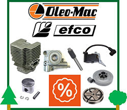 Ricambi Promozione Offerta Stock Usati Motosega OleoMac Efco Cilindro Pistone Pompa Olio Frizione Campana Pignone Vite Senza Fine Alberino carter Basamento Bobina Elettronica