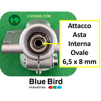 Coppia Conica Testina Decespugliatore Blue Bird Kawasaki Honda ricambio LCVERDE.com 729420