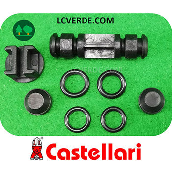 Set Scambiatore Abbacchiatore Aria Compressa Pneumatico Raccolta Olive CASTELLARI PN PNT PNS PNX PNXT Vertigo ricambi LCVERDE.com 100OP04K spare part