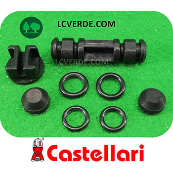 Set Scambiatore Abbacchiatore Aria Compressa Pneumatico Raccolta Olive CASTELLARI PN PNT PNS PNX PNXT Vertigo ricambio LCVERDE.com 100OP04K spare part