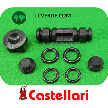 Set Scambiatore Abbacchiatore Aria Compressa Pneumatico Raccolta Olive CASTELLARI PN PNT PNS PNX PNXT Vertigo ricambio LCVERDE.com 100OP04K