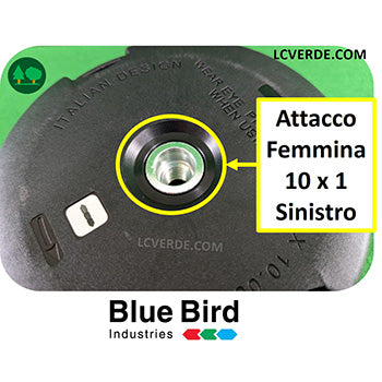 Testina Batti & Vai Decespugliatore Blue Bird BNW Bump N Work 10 x 1 Femmina accessorio LCVERDE.com