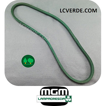 Cinghia Trazione Avanzamento MGM Lampacrescia Trinciatutto TTR886 TTR786 TTR686 ricambi LCVERDE.com 271113 Trincia Trincisarmenti