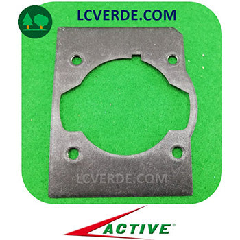 Guarnizione cilindro motore decespugliatore Active 4.5 5.5 ricambi LCVERDE.com 20015