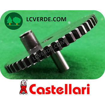 Ingranaggio Corona Cilindrico con Perno Abbacchiatore Raccolta Olive Castellari Olivance Vertigo ricambio LCVERDE.com OE300125 spare part