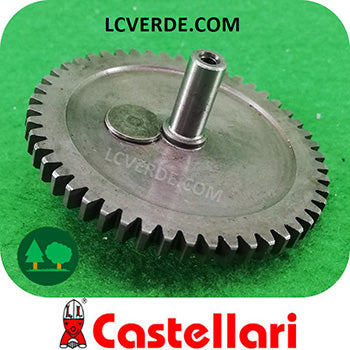 Ingranaggio Corona Cilindrico con Perno Abbacchiatore Raccolta Olive Castellari Olivance Vertigo ricambi LCVERDE.com OE300125