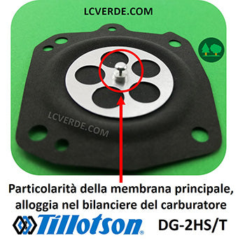 Kit Riparazione Revisione Membrane Guarnizioni Carburatore TILLOTSON DG 2HST ricambio LCVERDE.com