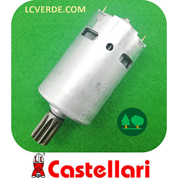 Motore Elettrico Abbacchiatore Scuotitore Raccolta Olive CASTELLARI Tornado Fenix ricambi LCVERDE.com TO800200