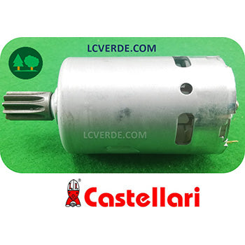 Motore Elettrico Abbacchiatore Scuotitore Raccolta Olive CASTELLARI Tornado Fenix ricambio LCVERDE.com TO800200