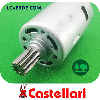 Motore Elettrico Abbacchiatore Scuotitore Raccolta Olive CASTELLARI Tornado Fenix ricambi LCVERDE.com TO800200 spare parts