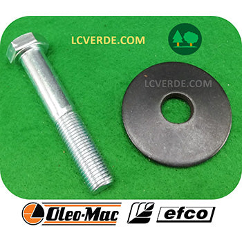 Perno Vite Rondella Mozzo PortaLama Supporto Lama Rasaerba Tagliaerba OleoMac G GV Gi Efco LH LR LRi ricambi LCVERDE.com 3906150r 66060384r