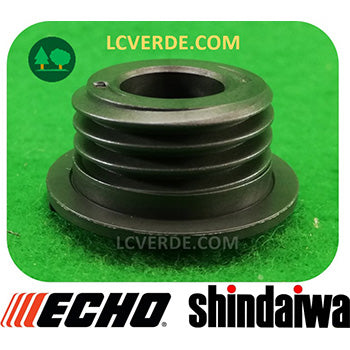 Vite Senza Fine Ingranaggio Girante Pompa Olio Motosega Echo CS2510 CS2511 CS280 CS281 Shindaiwa 250 251 280 ricambio LCVERDE.com V652000230