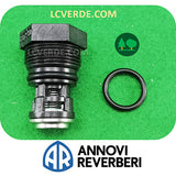 gruppo valvola aspirazione mandata pompa irrorazione Ar Annovi Reverberi Ar202 Ar252 ricambio LCVERDE.com 809060 spare parts